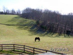 206 Burt Blackwell Road Mill Spring, NC 28756 - Photo 13 of 16