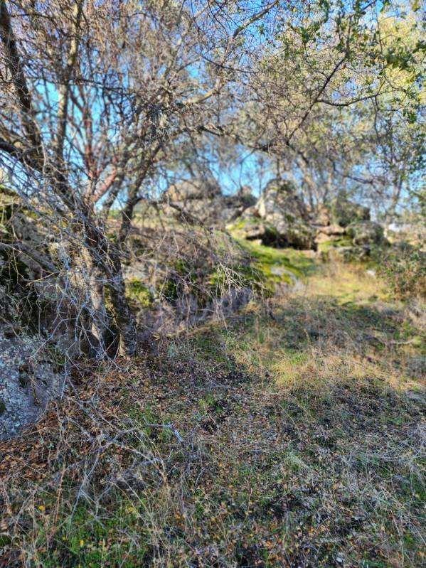 0 Kennedy Road Coarsegold, CA 93614 - Photo 3 of 11 Gallery Image 3