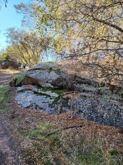 0 Kennedy Road Coarsegold, CA 93614 - Photo 4 of 11 Gallery Image 4