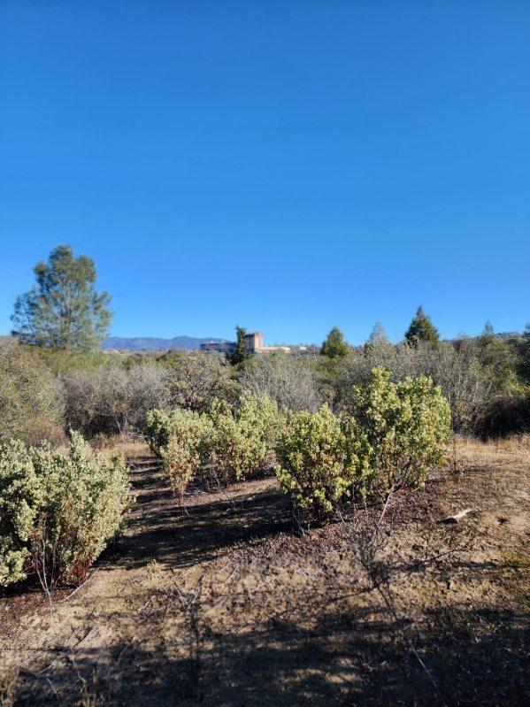 0 Kennedy Road Coarsegold, CA 93614 - Photo 7 of 11 Gallery Image 7