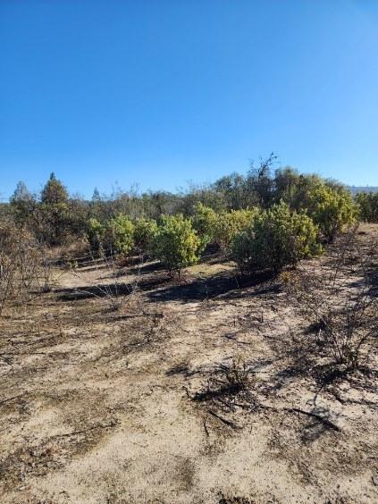 0 Kennedy Road Coarsegold, CA 93614 - Photo 8 of 11 Gallery Image 8