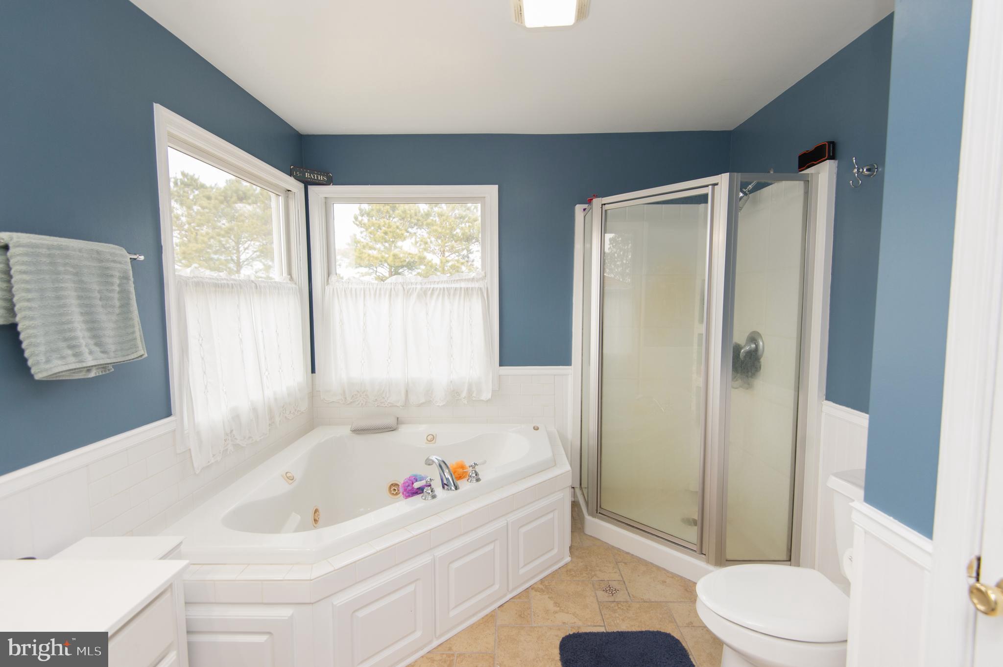 6568 Statum Road Preston, MD 21655 - Photo 20 of 49 a bathroom with a bathtub and a shower