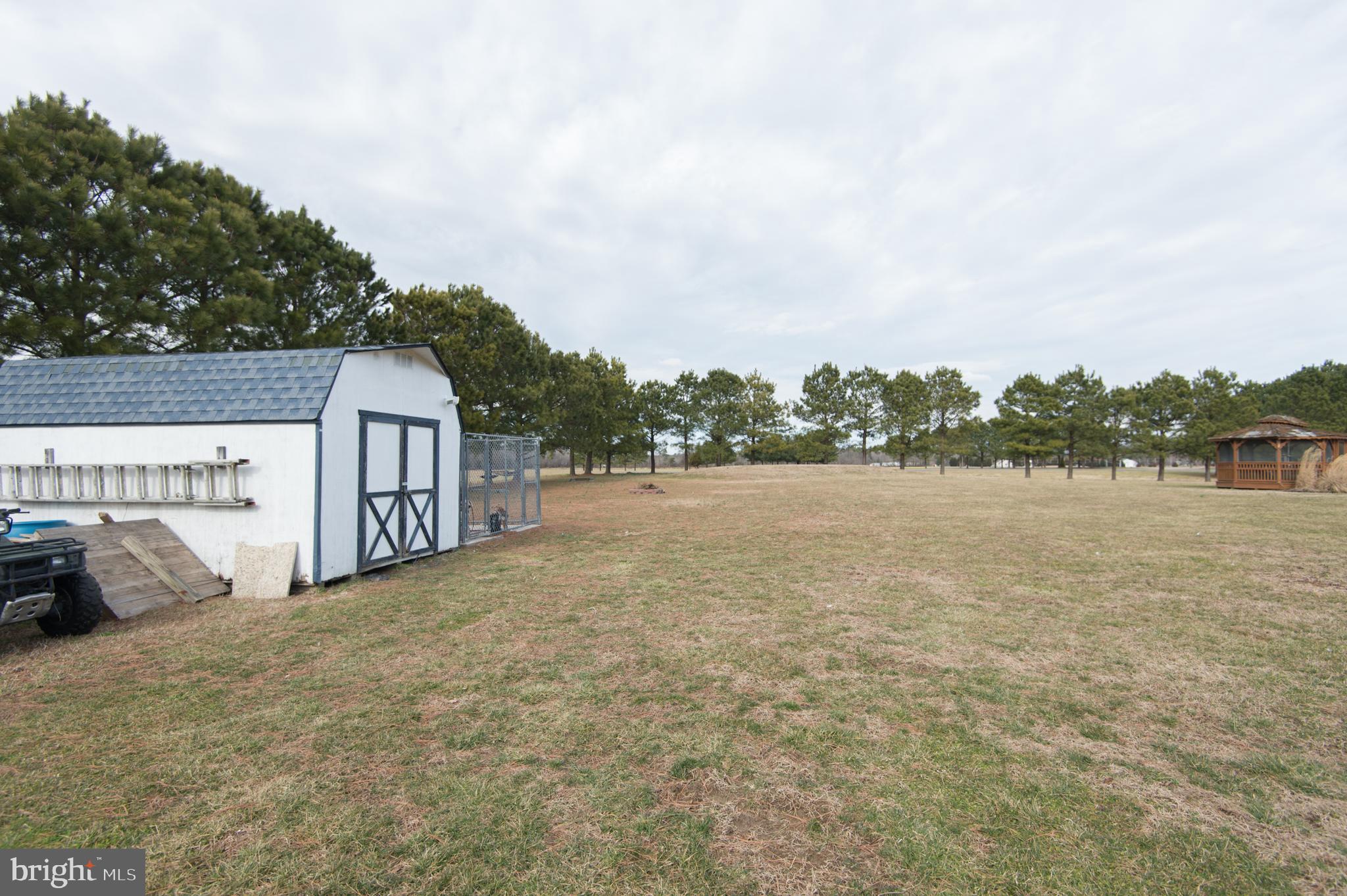 6568 Statum Road Preston, MD 21655 - Photo 35 of 49 a view of outdoor space and yard