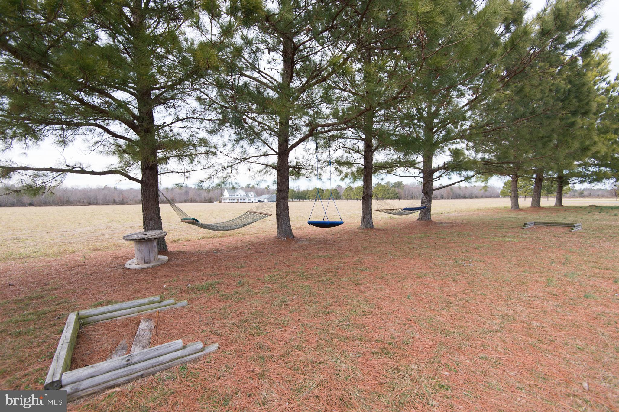 6568 Statum Road Preston, MD 21655 - Photo 36 of 49 a view of outdoor space with trees