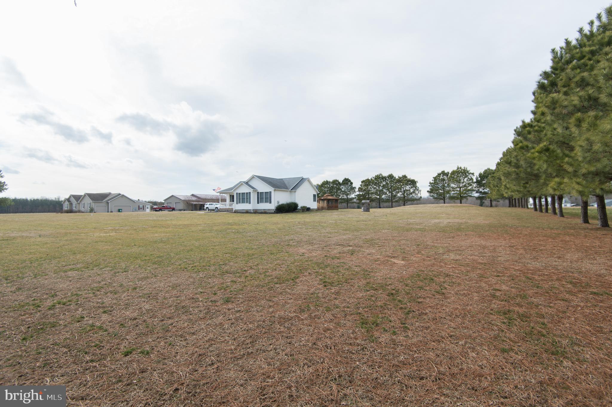 6568 Statum Road Preston, MD 21655 - Photo 40 of 49 a view of lake view and mountain in the back