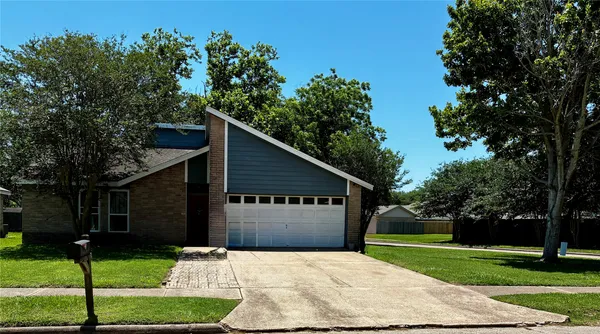 a backyard of a house with plants and large tree