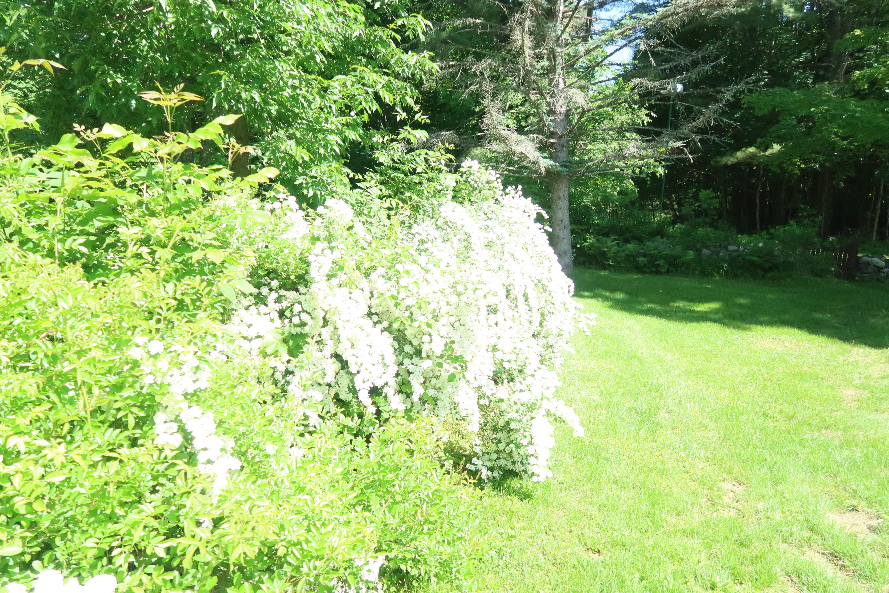 1087 Main Street Readfield, ME 04355 - Photo 4 of 23 IMG_1962