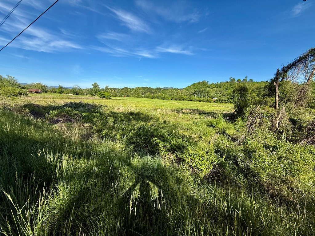 0 Tomotla Road Marble, NC 28905 - Photo 3 of 7 a view of a lush green space with sea
