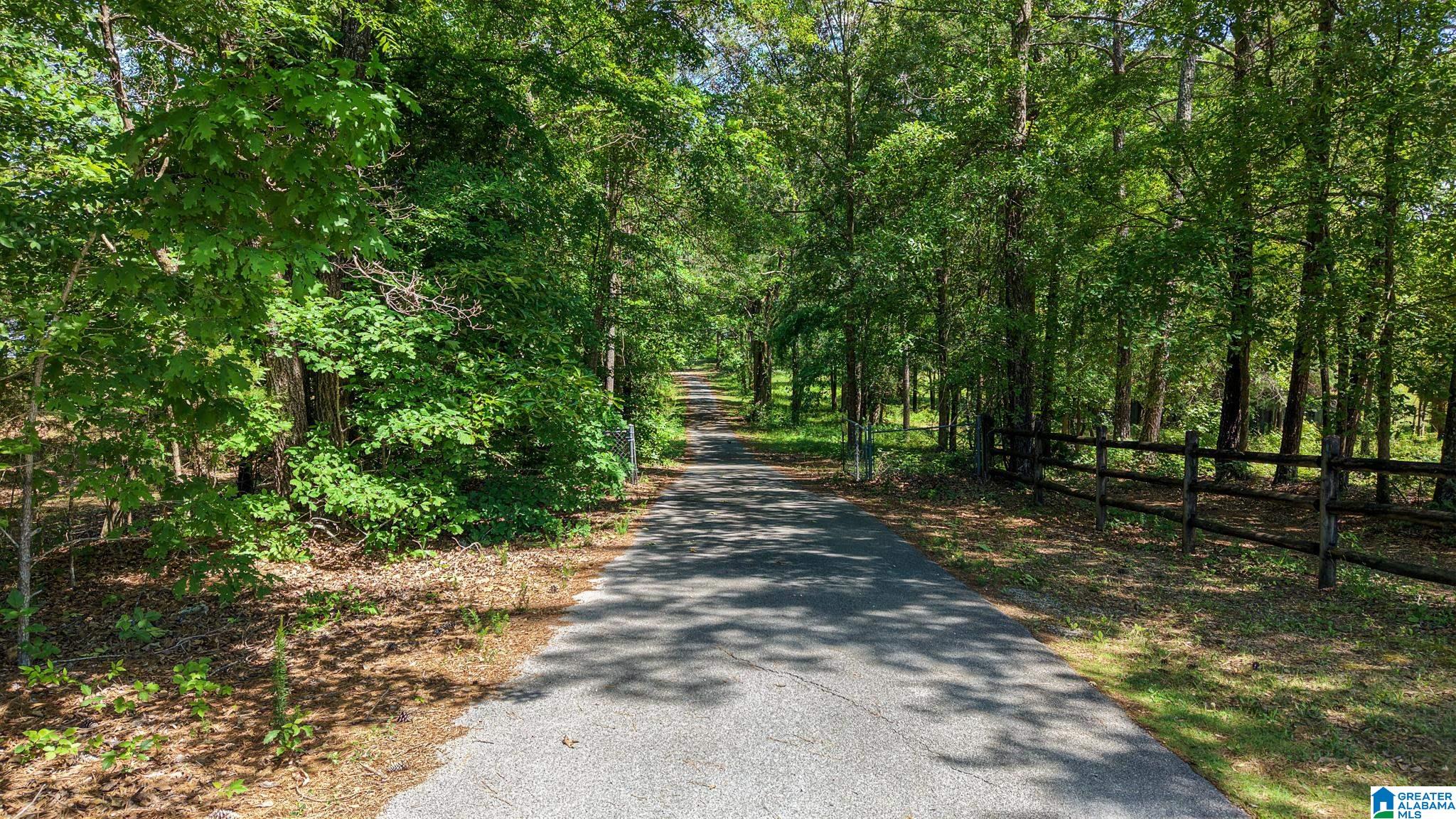 885 Lock 4 Road Riverside, AL 35135 - Photo 59 of 68