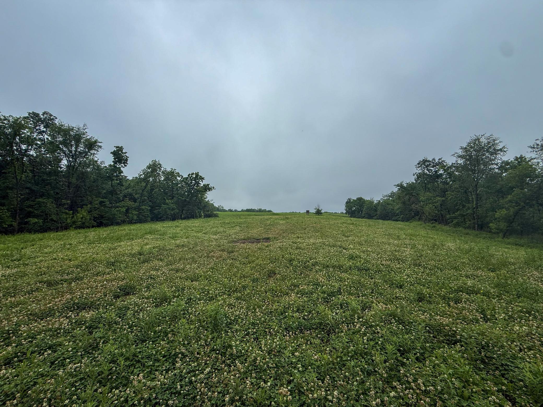 11719 Ridgeview Road Hokah, MN 55941 - Photo 68 of 90