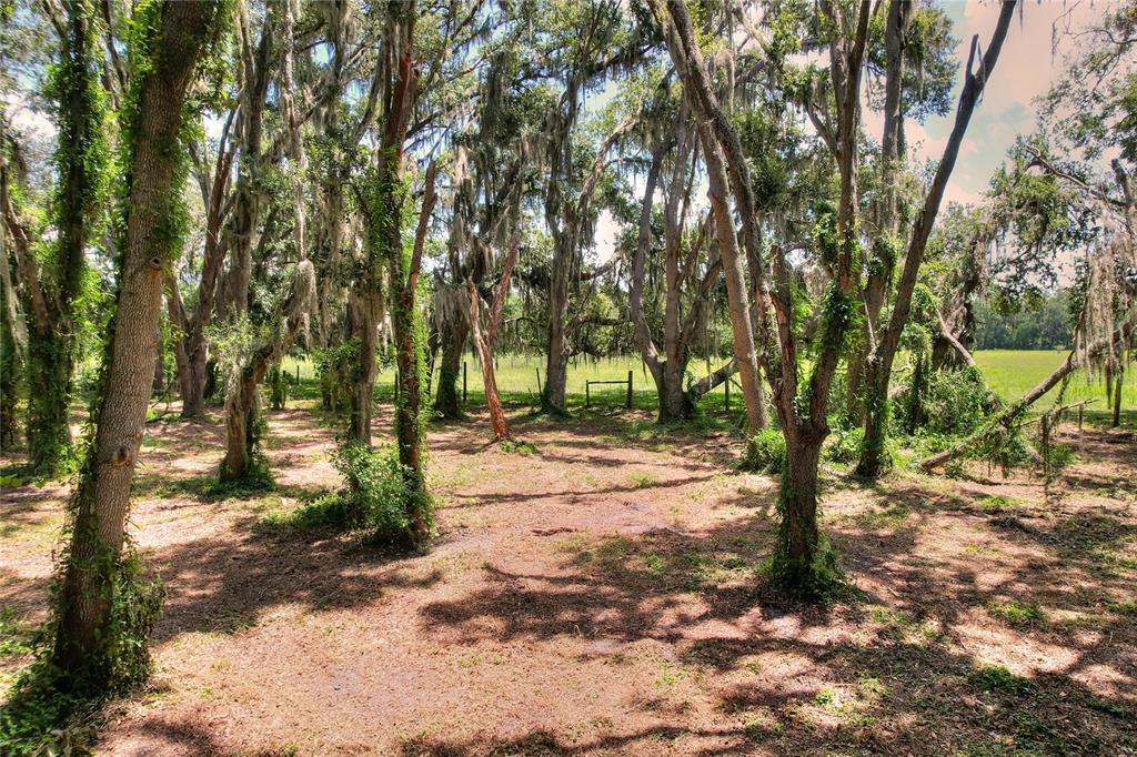 8825 Selph Road Lakeland, FL 33810 - Photo 69 of 71 Gallery Image 69