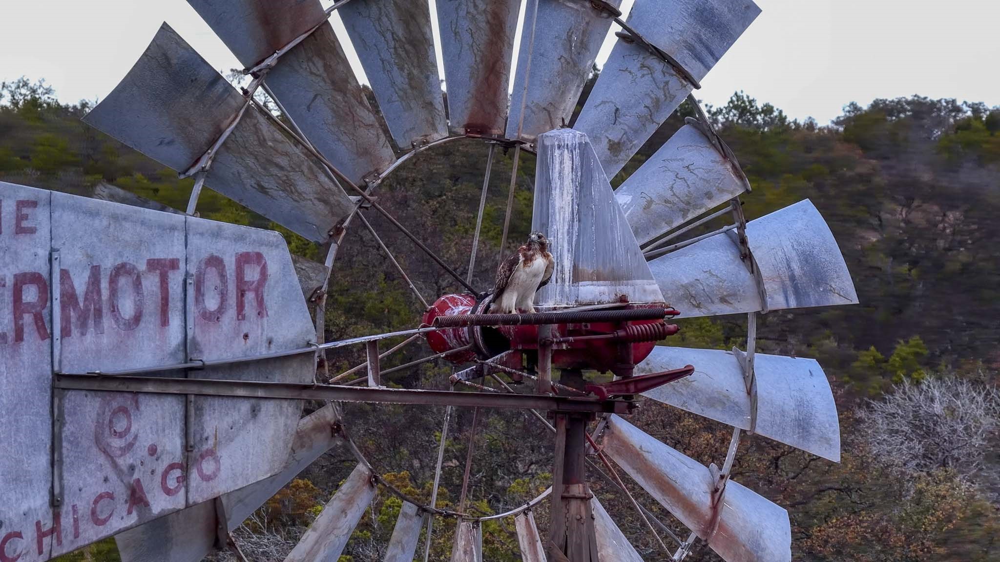 0 Deberry Lane Sonora, TX 76950 - Photo 36 of 50