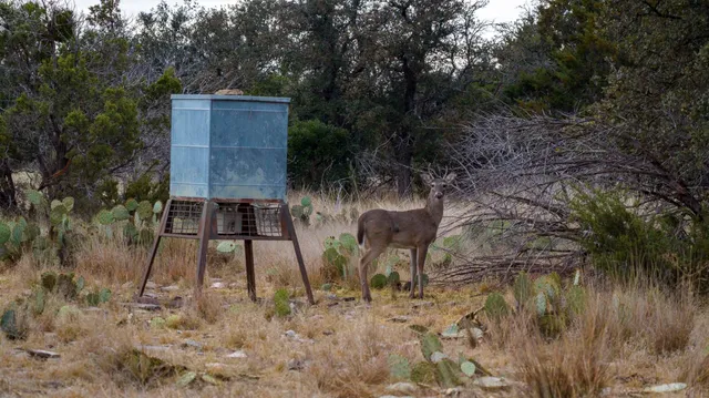 $9,760,000 | 0 Deberry Lane, Sonora, TX 76950