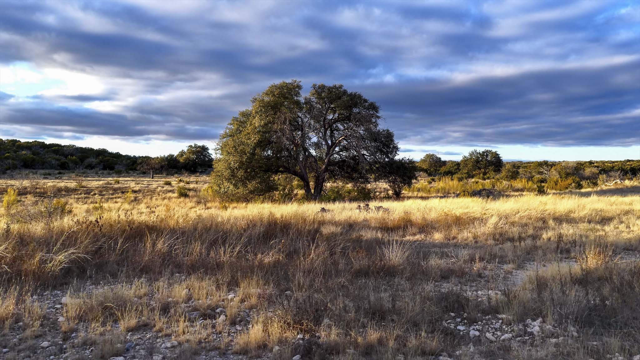 0 Deberry Lane Sonora, TX 76950 - Photo 4 of 50