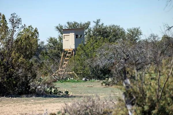 a view of a dry yard with wooden fence