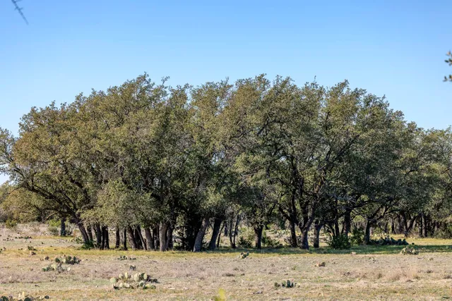 $9,760,000 | 0 Deberry Lane, Sonora, TX 76950