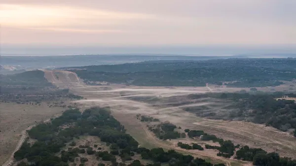 a view of a garden with plants