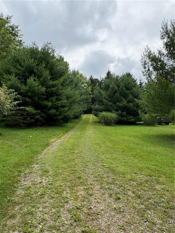 1530 Washington Road Apollo, PA 15613 - Photo 3 of 29 View of road to enter onto property