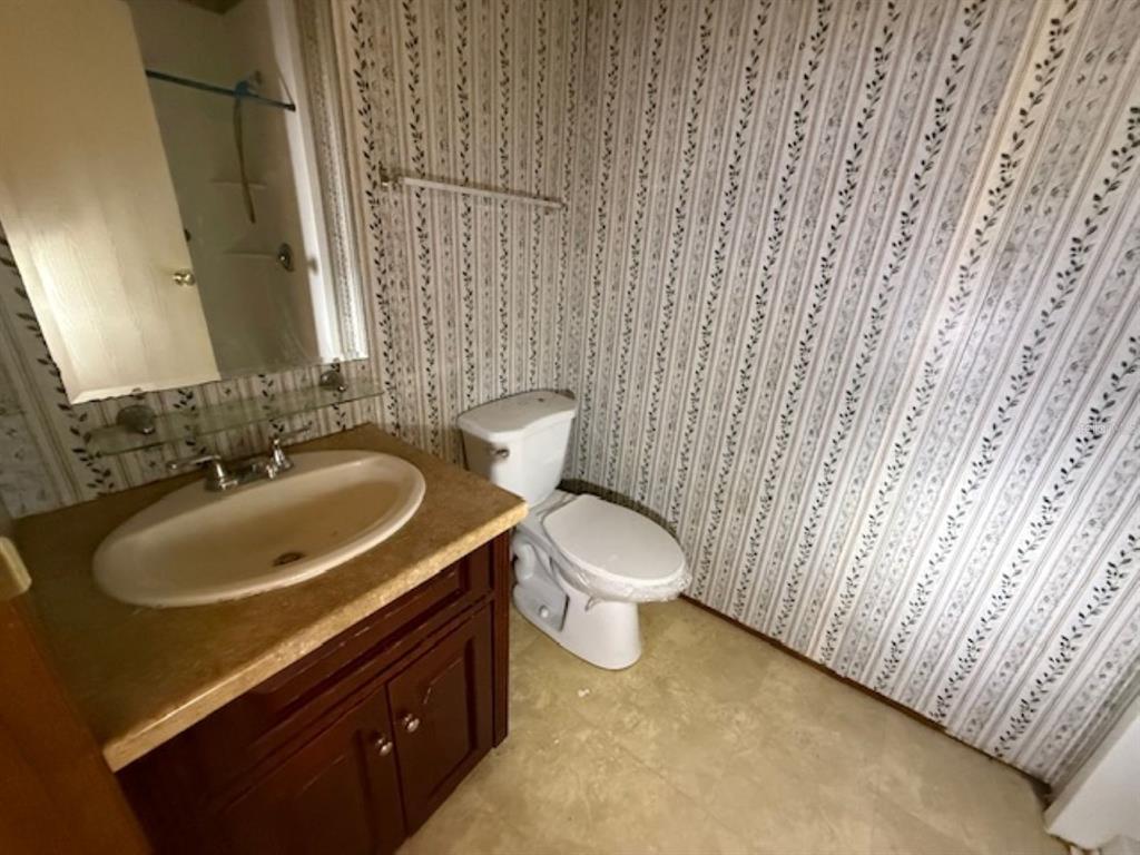 217 Longview Avenue Lady Lake, FL 32159 - Photo 9 of 10 a bathroom with a sink and a toilet