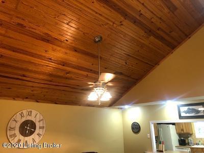 785 Indian Ridge Road Falls Of Rough, KY 40119 - Photo 21 of 28 living room ceiling
