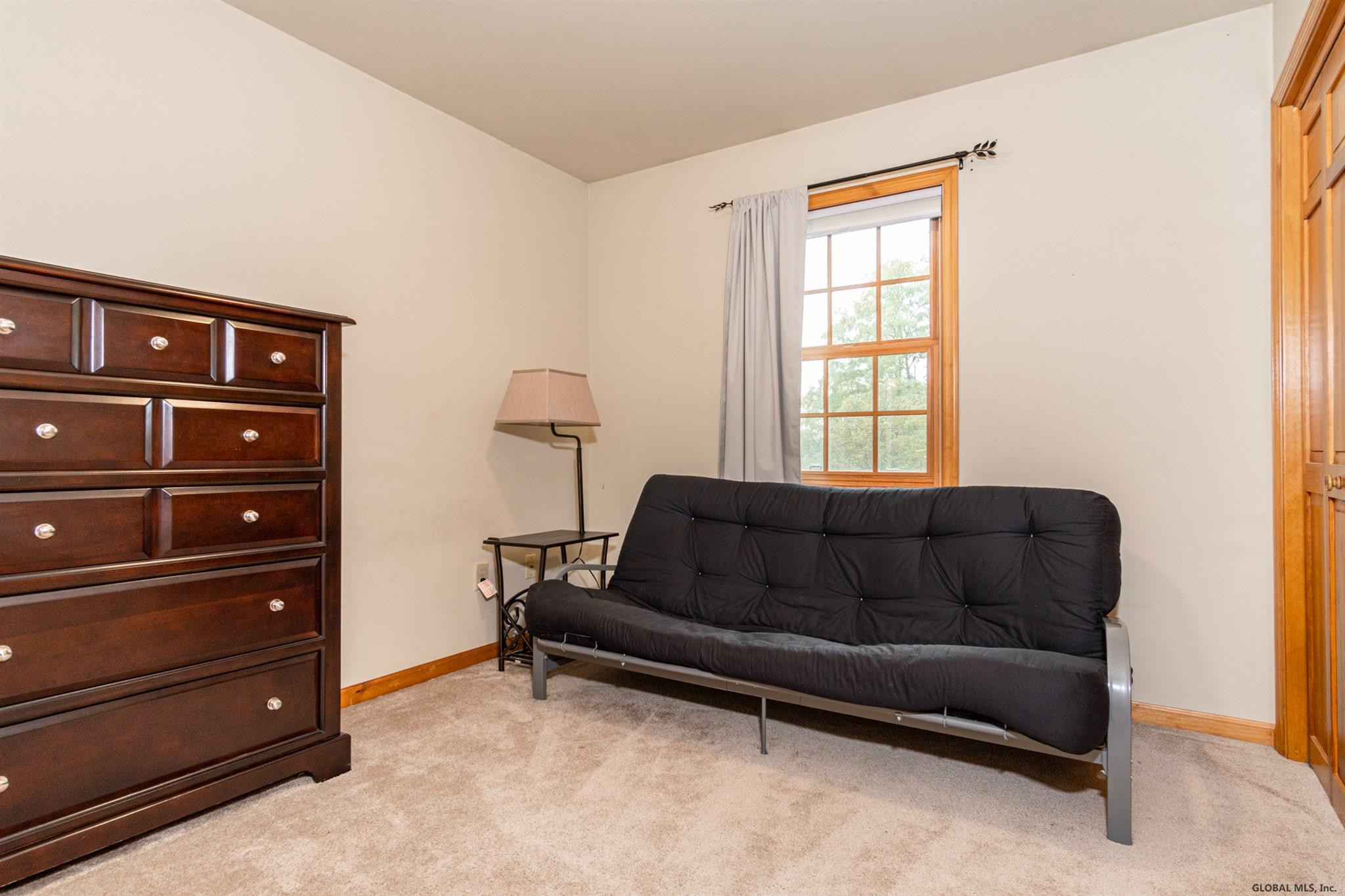 255 Putnam Road Rotterdam, NY 12306 - Photo 49 of 54 Photo 49