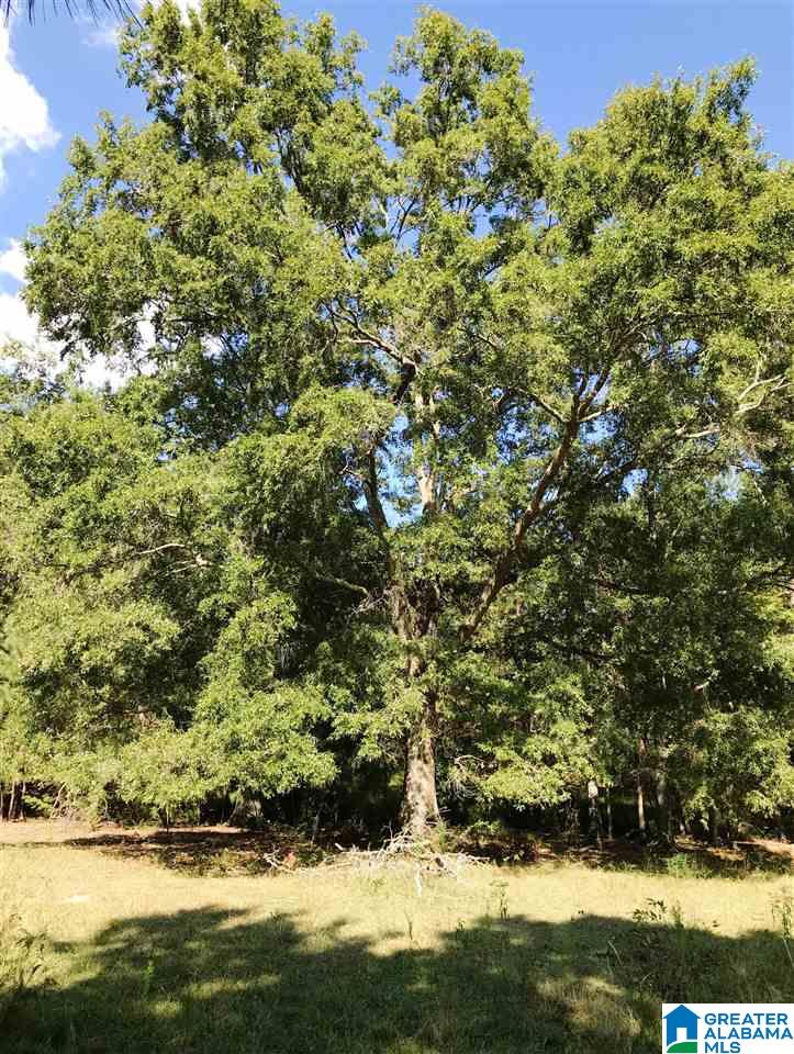 1525 Chelsea Road, Unit 1525 Columbiana, AL 35051 - Photo 16 of 33