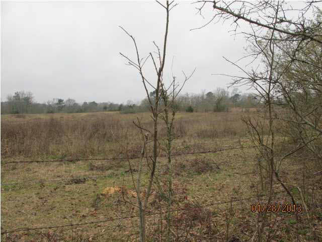 0 Blackwell Road Mendenhall, MS 39114 - Photo 1 of 2 Photo 1