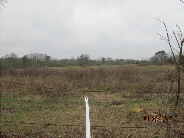0 Blackwell Road Mendenhall, MS 39114 - Photo 2 of 2 Photo 2