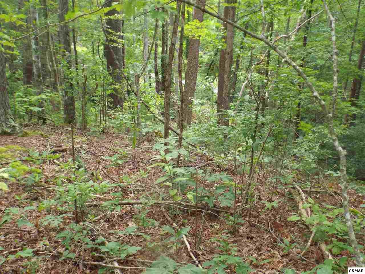 0 Huskey Grove Road Sevierville, TN 37876 - Photo 10 of 11