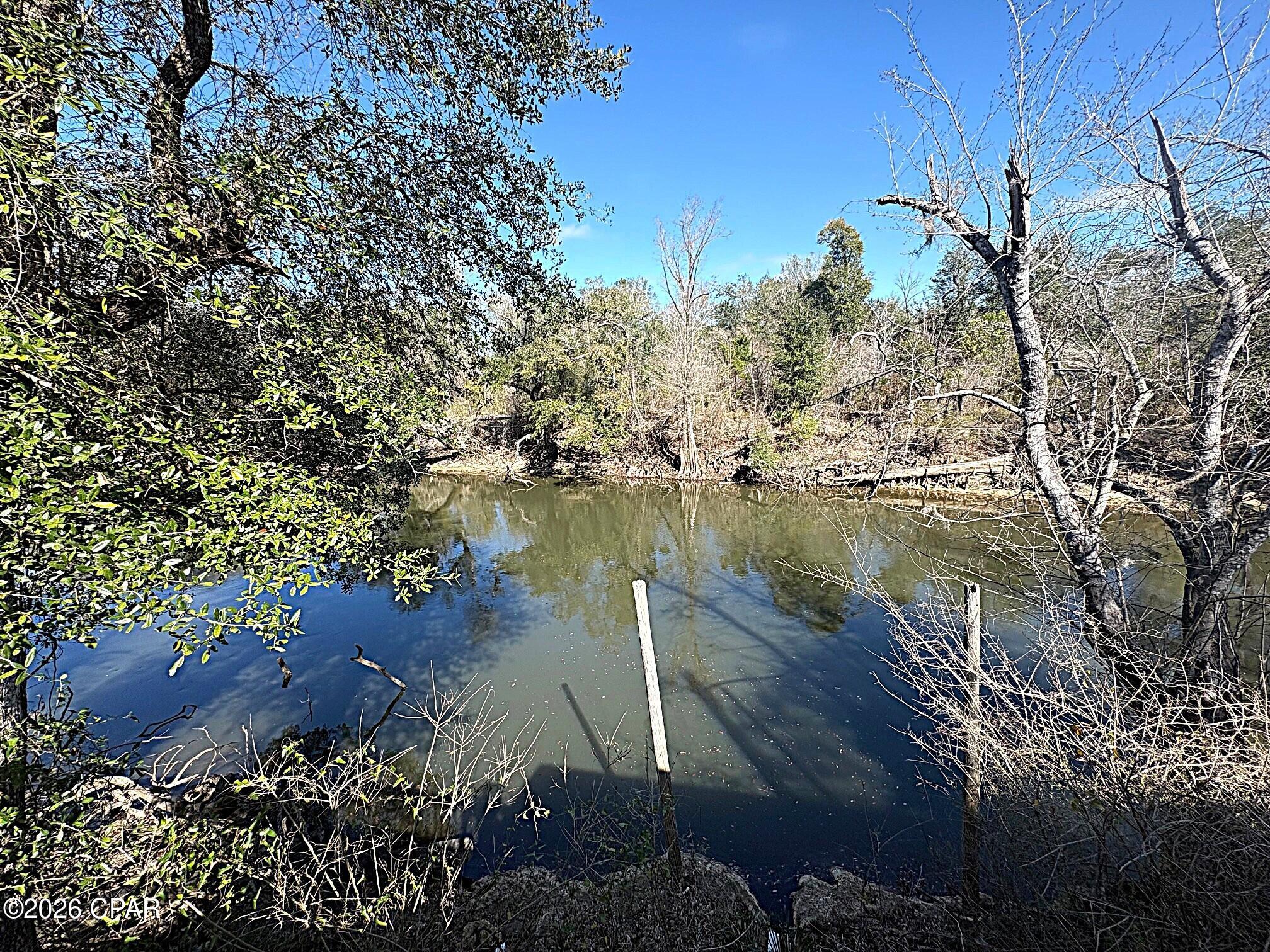 13770 Shumans Ferry Road Altha, FL 32421 - Photo 3 of 90