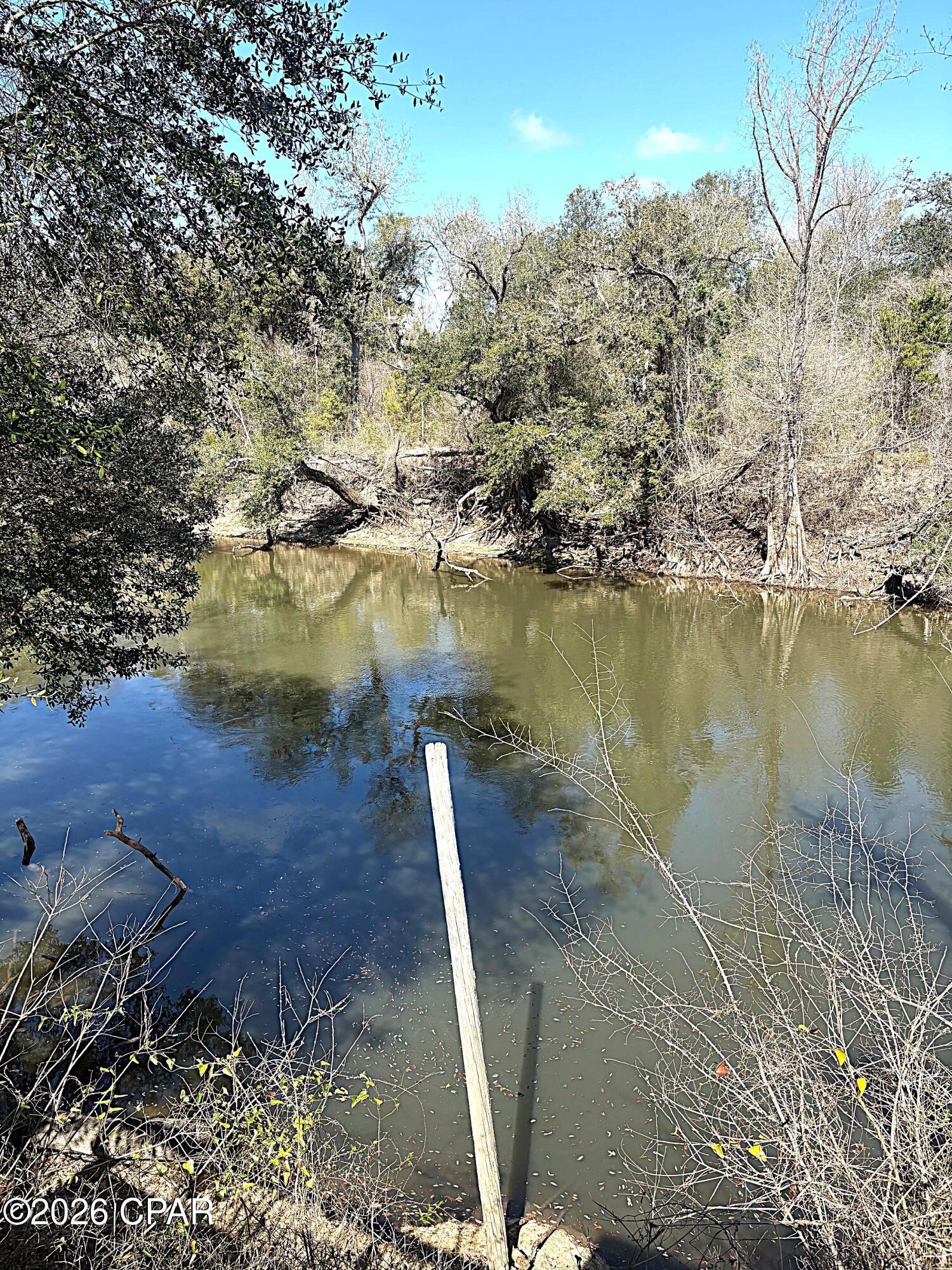 13770 Shumans Ferry Road Altha, FL 32421 - Photo 32 of 90