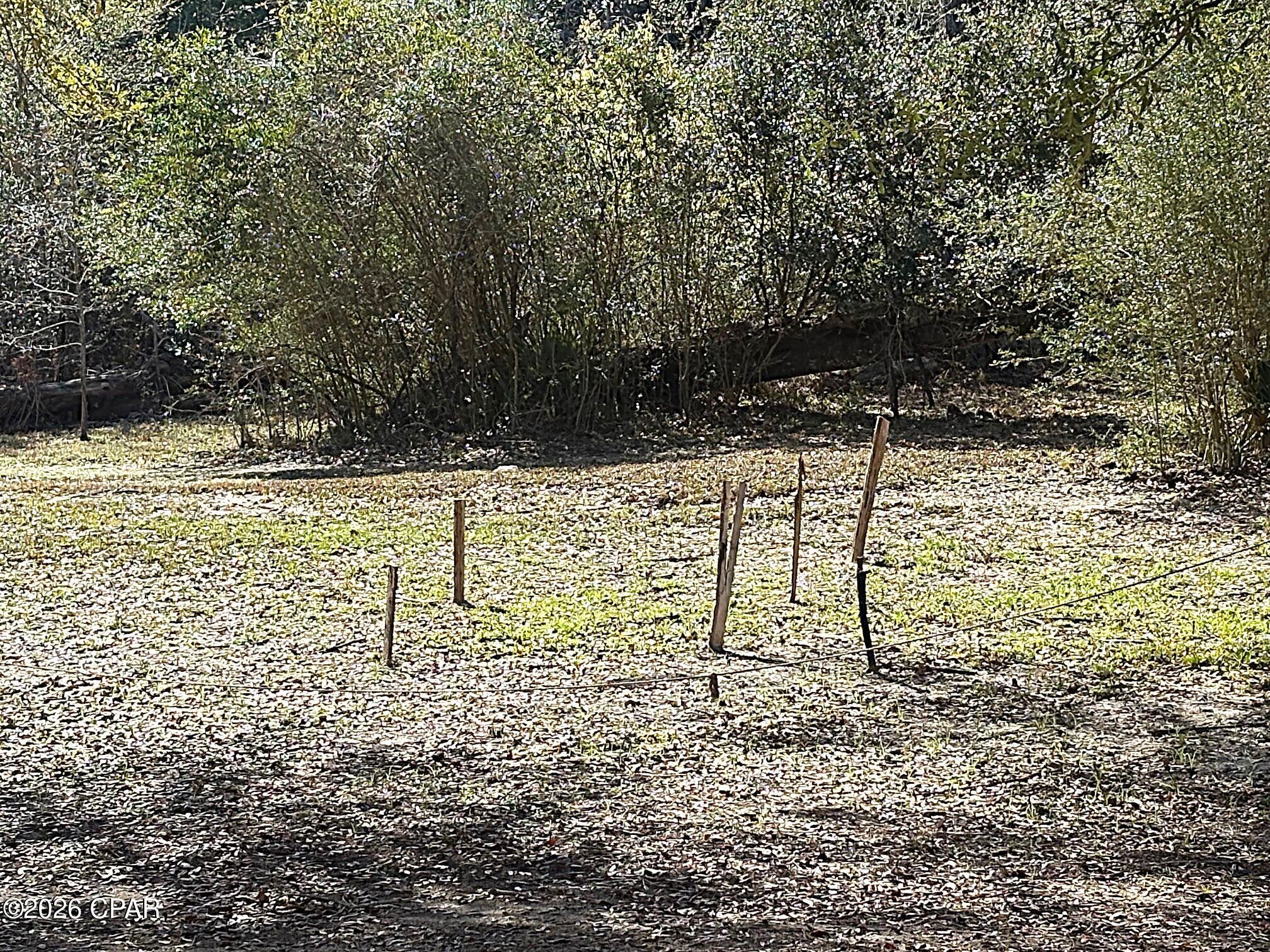 13770 Shumans Ferry Road Altha, FL 32421 - Photo 87 of 90