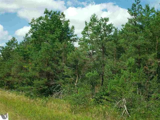 0 West Rhoby Road Manton, MI 49663 - Photo 1 of 7 1866151