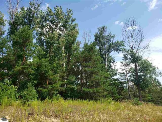 0 West Rhoby Road Manton, MI 49663 - Photo 2 of 7 1866151-1