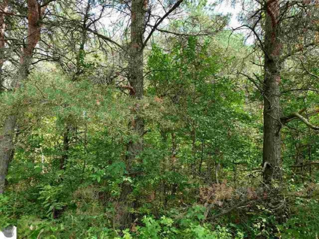 0 West Rhoby Road Manton, MI 49663 - Photo 3 of 7 1866151-2