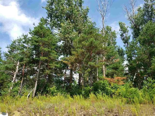 0 West Rhoby Road Manton, MI 49663 - Photo 5 of 7 1866151-4