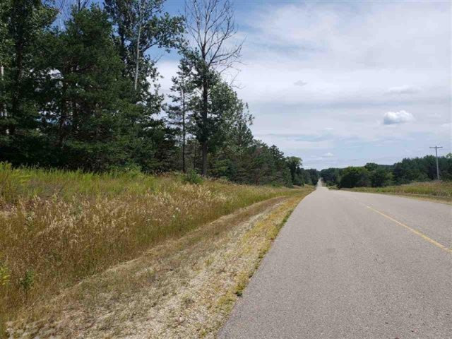0 West Rhoby Road Manton, MI 49663 - Photo 6 of 7 1866151-5