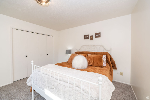 621 Coachman Way Riverdale, UT 84405 - Photo 23 of 38 Primary Bedroom featuring carpet and a closet