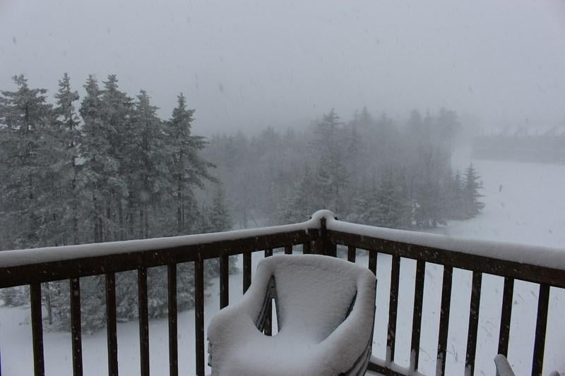 83 Powder Ridge Snowshoe, WV 26209 - Photo 7 of 16 Gallery Image 7