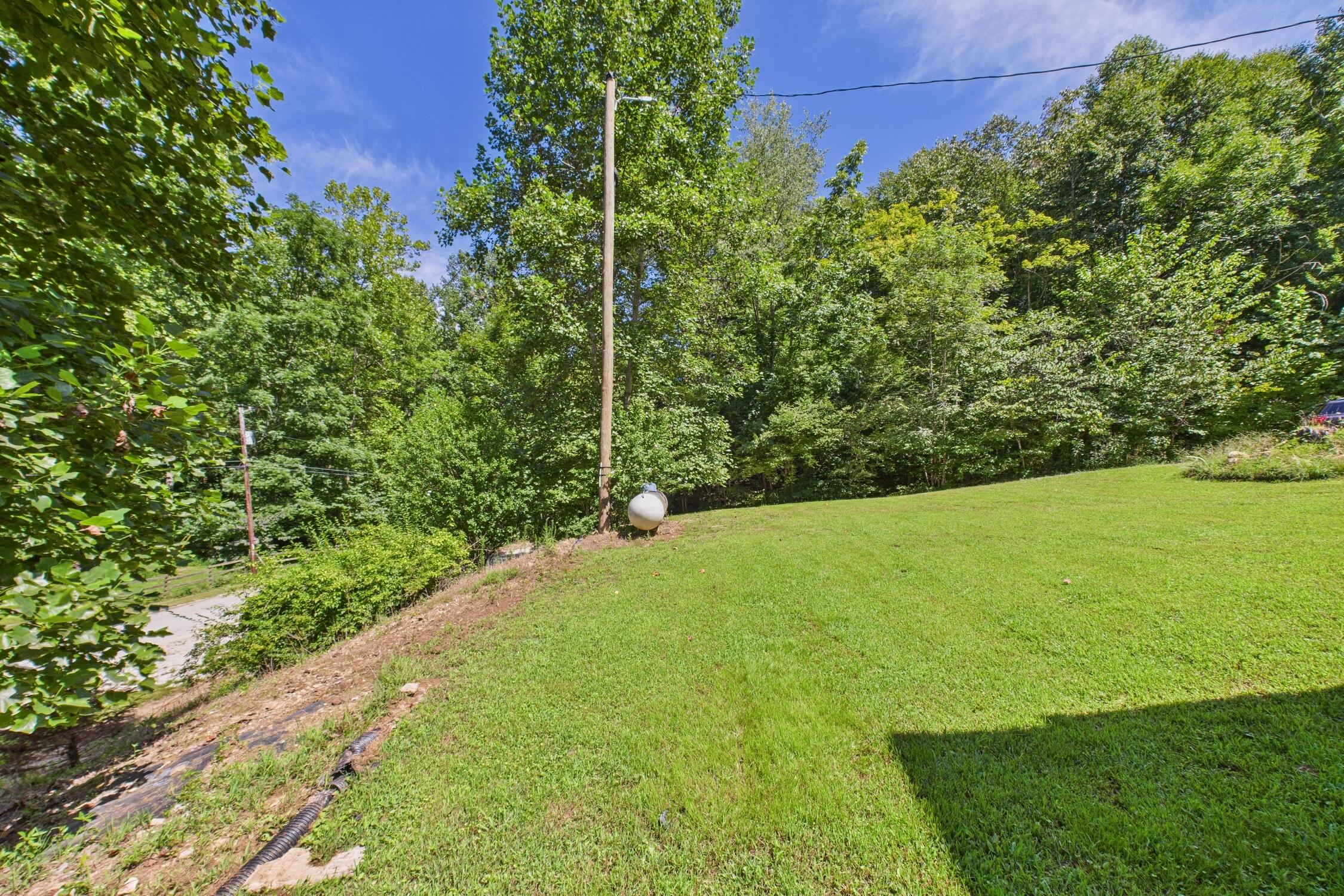 728 Punkin Hollow Road Stanton, KY 40380 - Photo 29 of 38 yard
