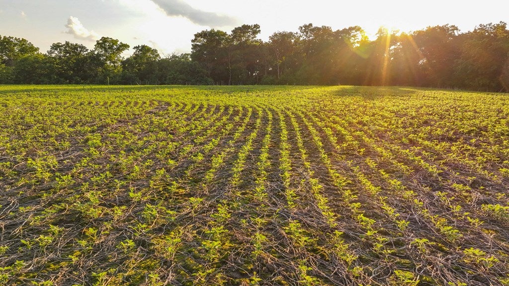 D218 County Road Armstrong, MO 65230 - Photo 10 of 73 Gallery Image 10