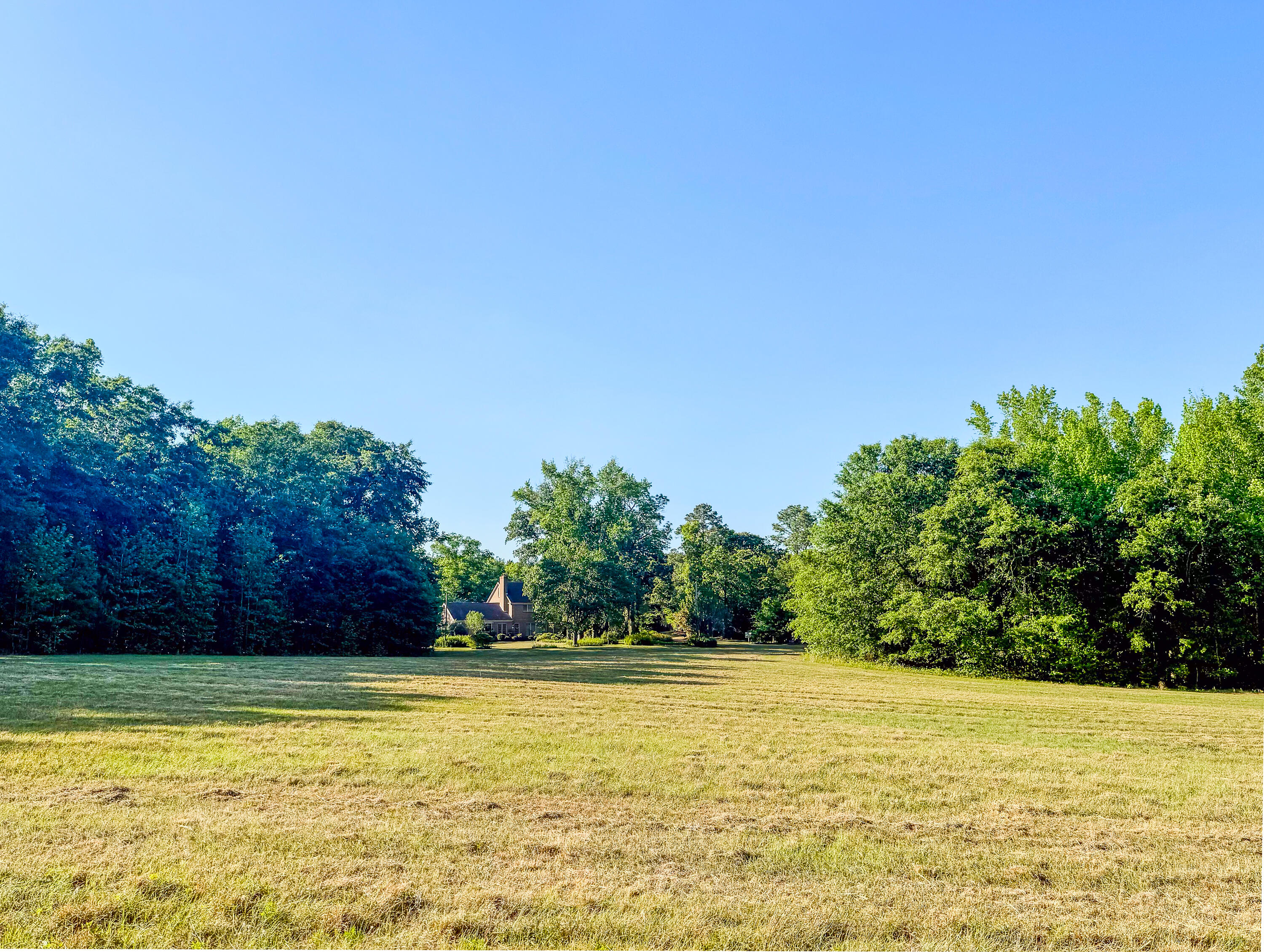 11481 Voorhees Road Denmark, SC 29042 - Photo 3 of 41 Compass South Land Sales South Carolina