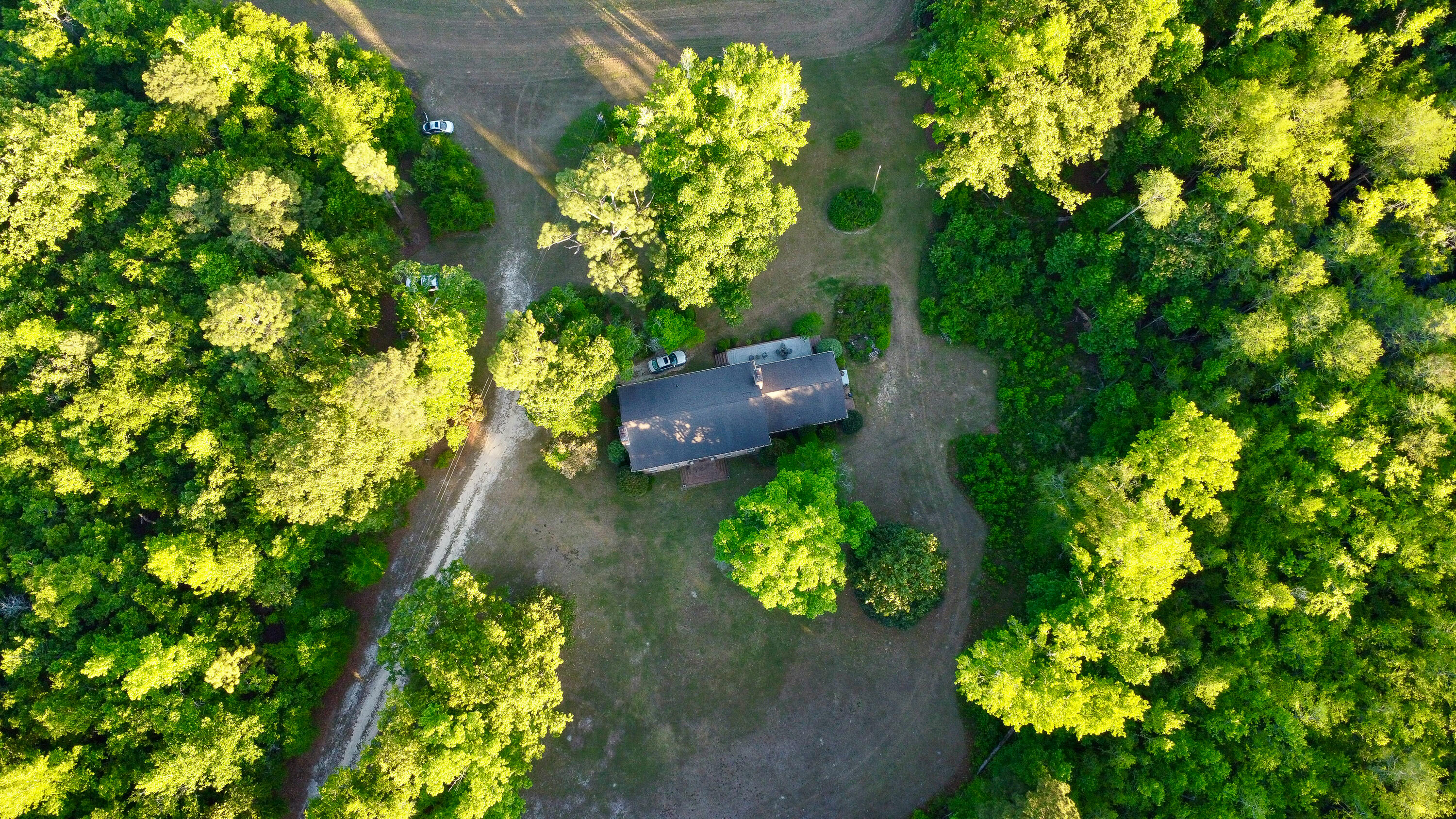 11481 Voorhees Road Denmark, SC 29042 - Photo 35 of 41 Compass South Land Sales South Carolina