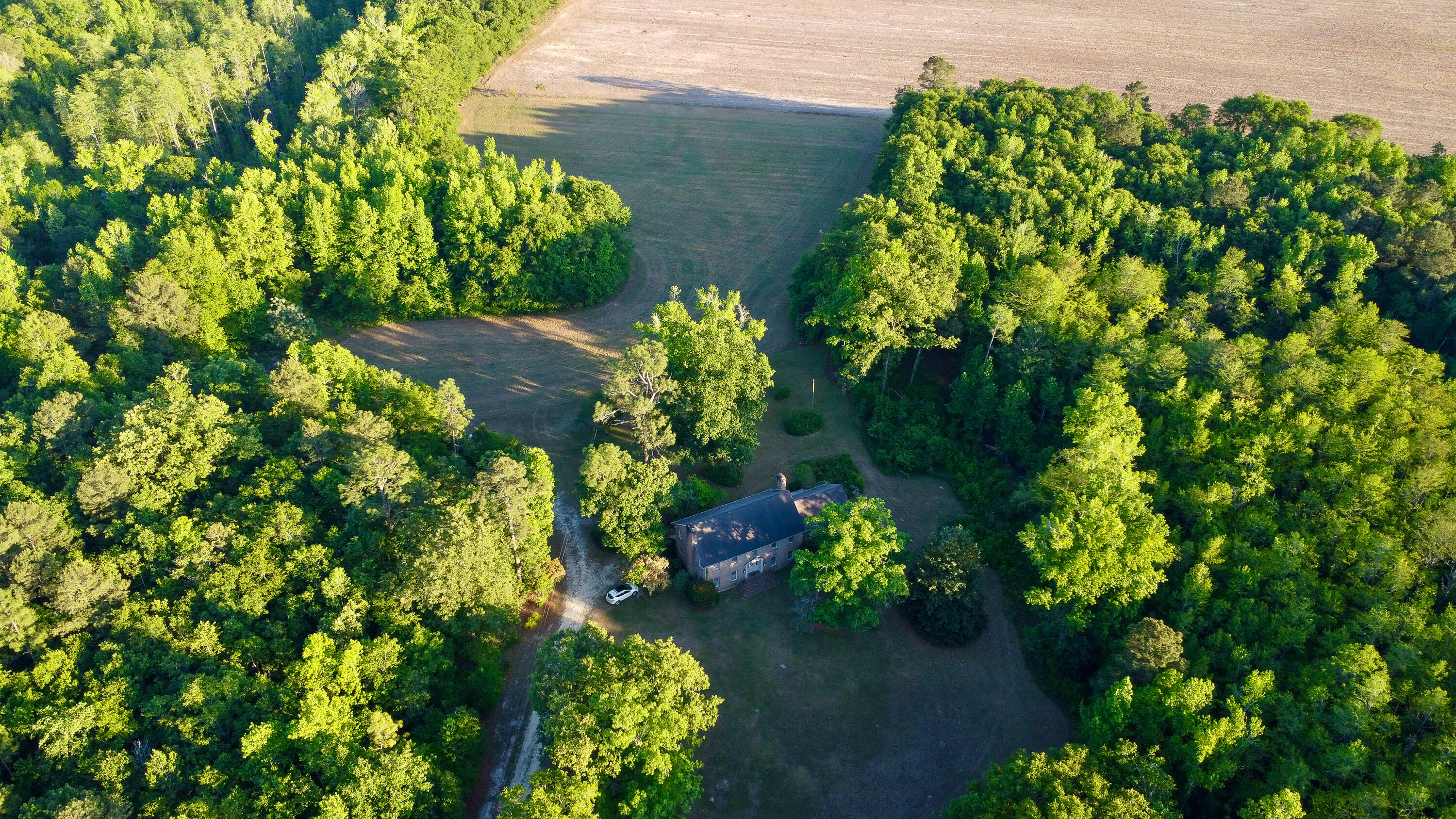11481 Voorhees Road Denmark, SC 29042 - Photo 40 of 41 Compass South Land Sales South Carolina