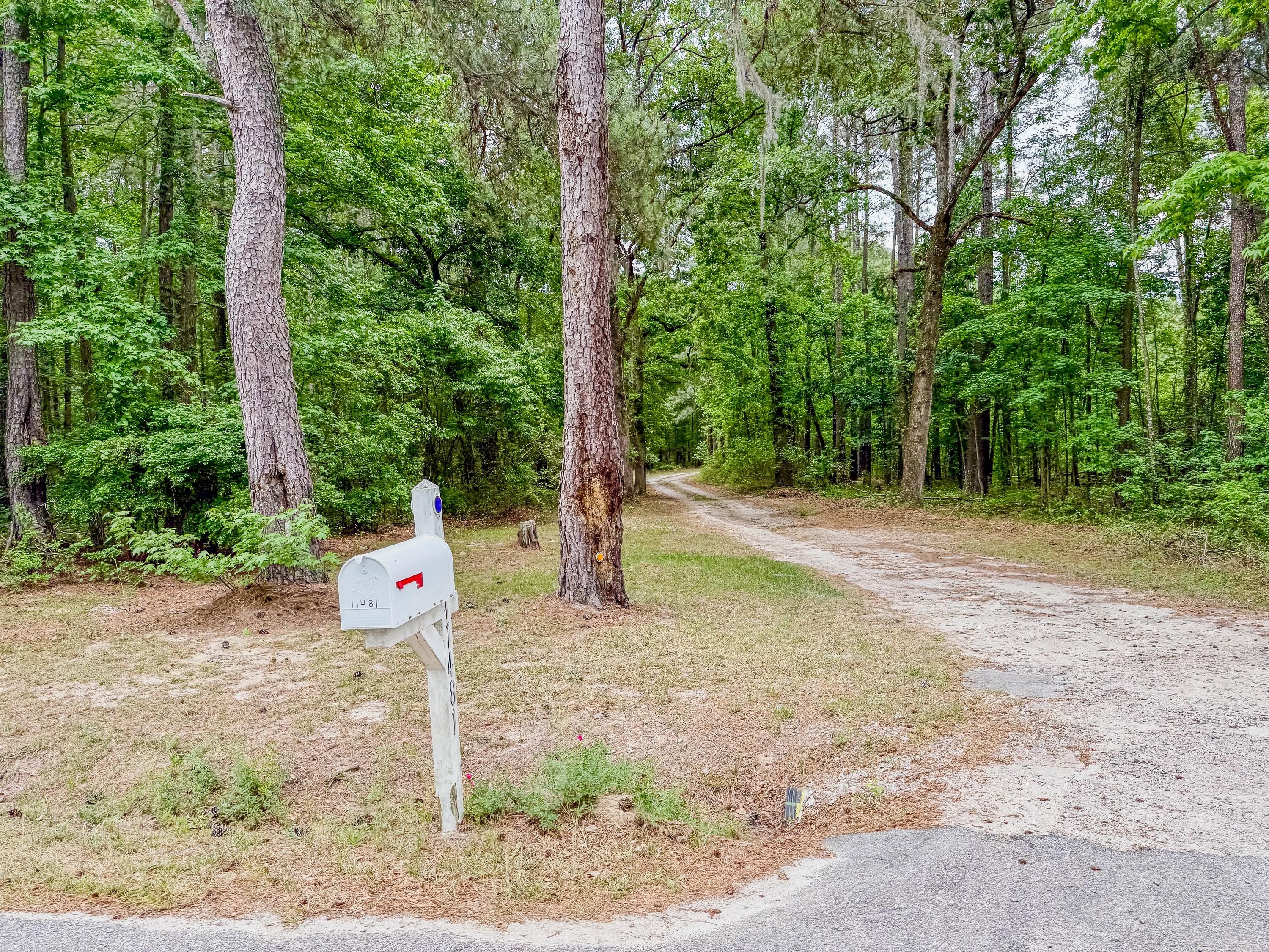 11481 Voorhees Road Denmark, SC 29042 - Photo 4 of 41 Compass South Land Sales South Carolina