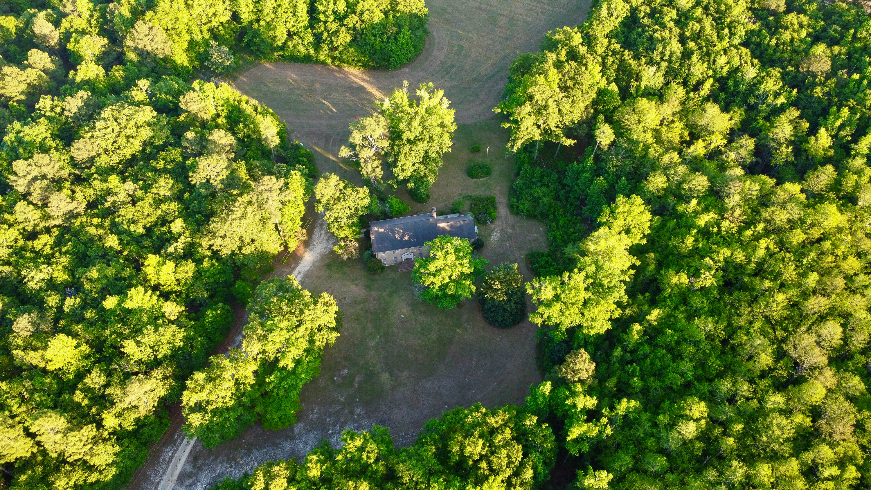 11481 Voorhees Road Denmark, SC 29042 - Photo 41 of 41 Compass South Land Sales South Carolina