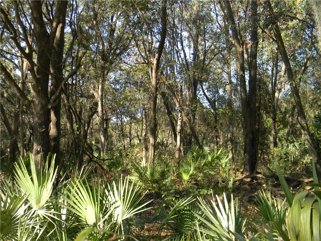 Bailey Road Mulberry, FL 33860 - Photo 1 of 1