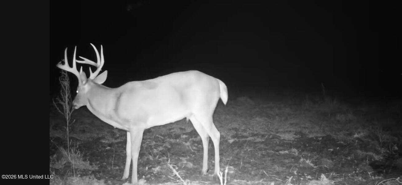 2363 Fugates Road Benton, MS 39039 - Photo 60 of 81 F53EE224-E033-4AAD-BF0F-F6F1CC7F1BD6_1_1
