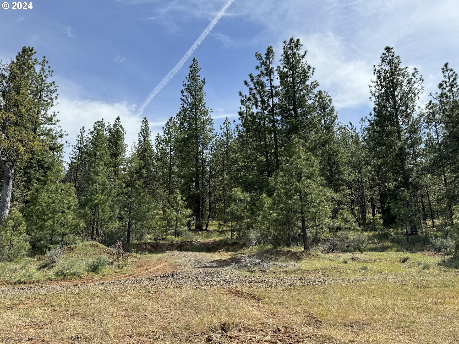 352 Box Canyon Road Goldendale, WA 98620 - Photo 18 of 37