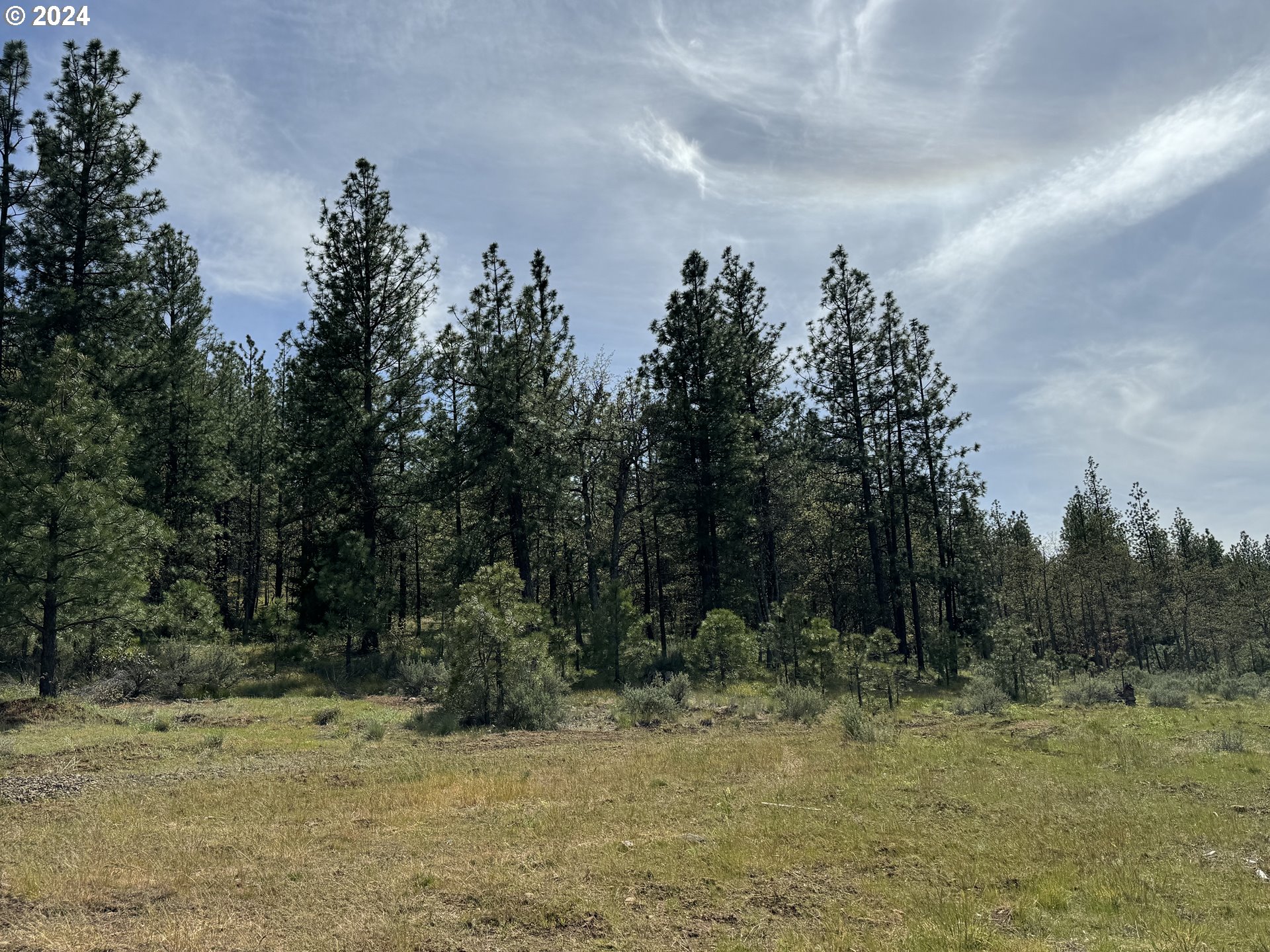 352 Box Canyon Road Goldendale, WA 98620 - Photo 19 of 37